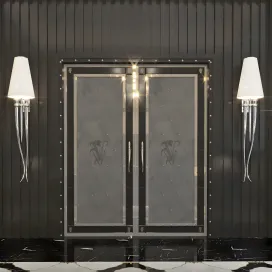 Visionnaire door